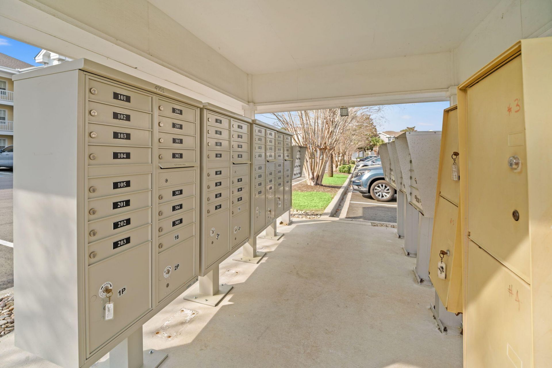 4687 Wild Iris Drive Photo 27