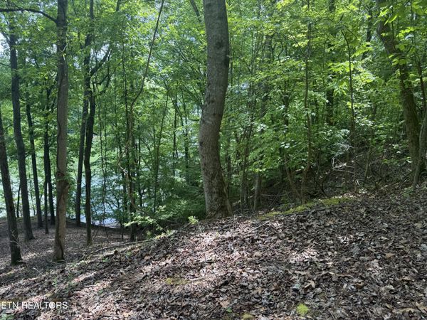 28 Indian Shadows Drive, Ten Mile, TN 37880