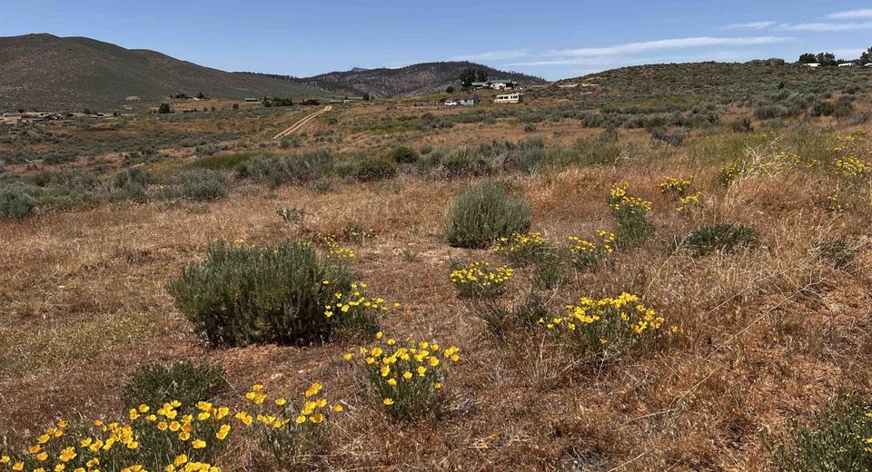 95015 Half Mile Road, Portola, CA 96105 Photo