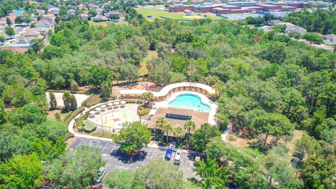 4119 Autumn Amber Drive, Spring Hill, FL 34609 Photo