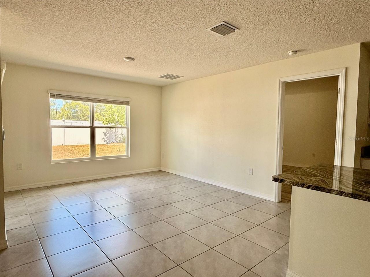 4119 Autumn Amber Drive, Spring Hill, FL 34609 Photo