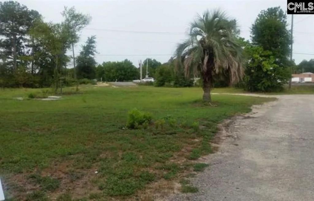 1903 Platt Springs Road Photo 5