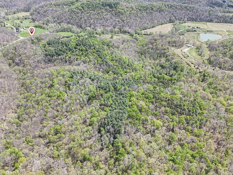 30083 Goosecreek Road, McArthur, OH 45651 Photo 11