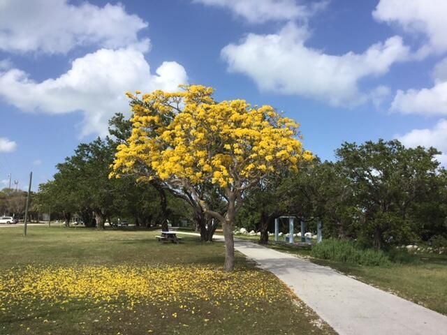500 Burton Drive, Unit 4416, Tavernier, FL 33070 Photo