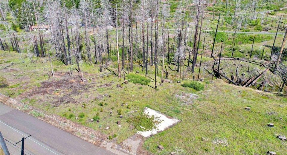 7403 Winding Way, Grizzly Flats, CA 95636 Photo