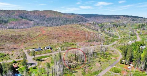 7403 Winding Way, Grizzly Flats, CA 95636 Photo