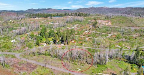 7403 Winding Way, Grizzly Flats, CA 95636 Photo