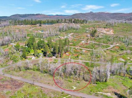 7403 Winding Way, Grizzly Flats, CA 95636 Photo