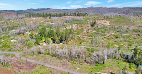 7403 Winding Way, Grizzly Flats, CA 95636 Photo