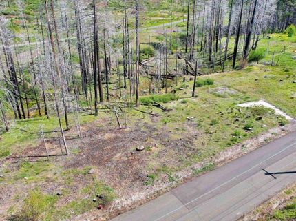 7403 Winding Way, Grizzly Flats, CA 95636 Photo
