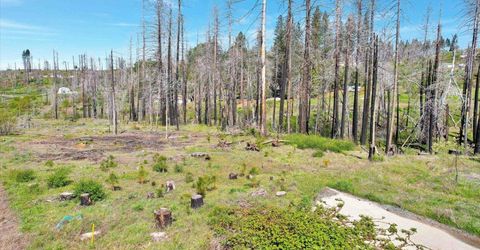7403 Winding Way, Grizzly Flats, CA 95636 Photo