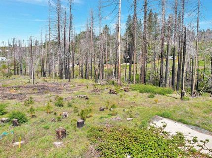 7403 Winding Way, Grizzly Flats, CA 95636 Photo