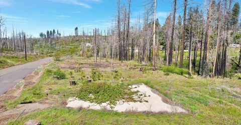 7403 Winding Way, Grizzly Flats, CA 95636 Photo