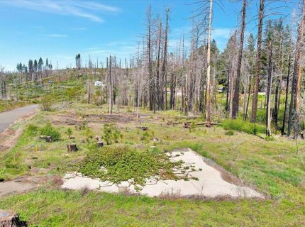 7403 Winding Way, Grizzly Flats, CA 95636 Photo