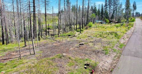 7403 Winding Way, Grizzly Flats, CA 95636 Photo