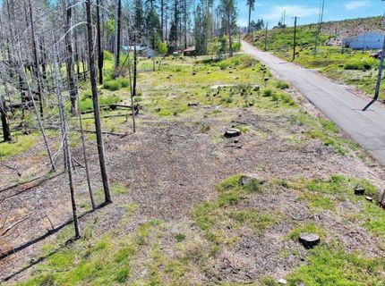 7403 Winding Way, Grizzly Flats, CA 95636 Photo