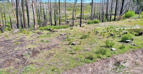7403 Winding Way, Grizzly Flats, CA 95636 Photo