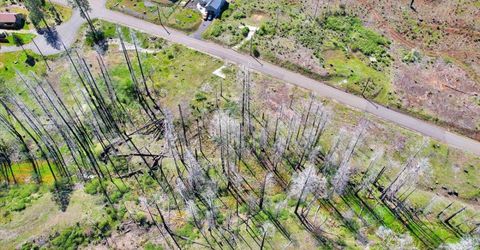7403 Winding Way, Grizzly Flats, CA 95636 Photo