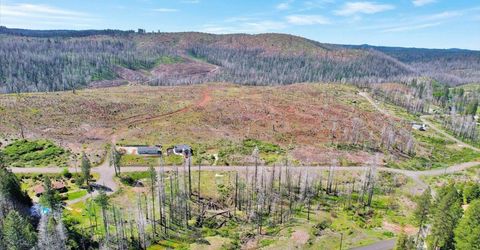 7403 Winding Way, Grizzly Flats, CA 95636 Photo