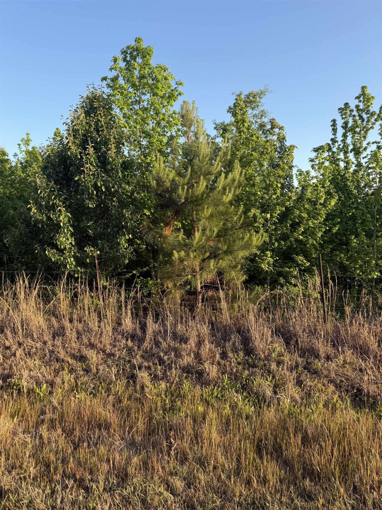 00 Co Rd 106, Florence, AL 35631 Main Photo