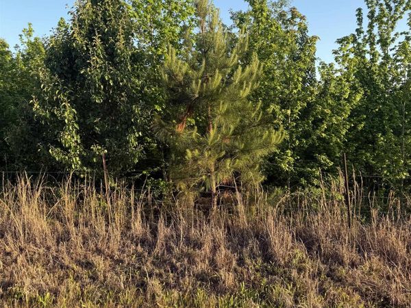 00 Co Rd 106, Florence, AL 35631