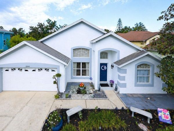 2943 PADDINGTON WAY, KISSIMMEE, FL 34747