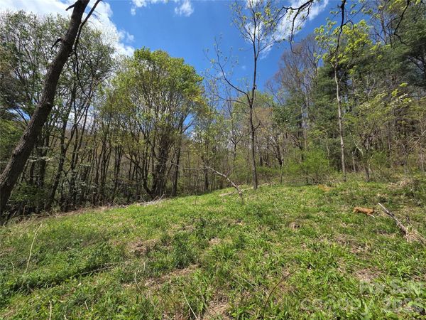0 Robinson Creek Road , Glenville, NC 28736