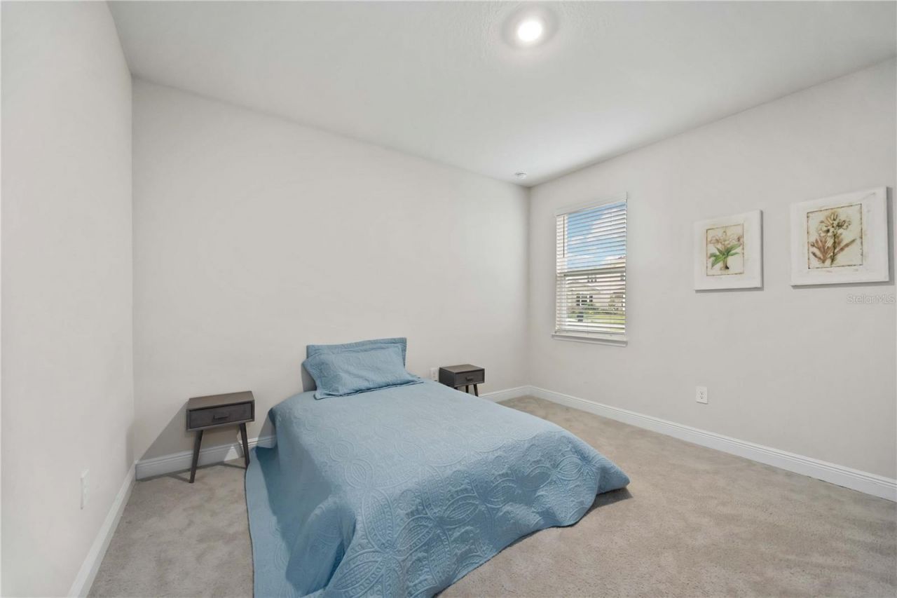 17564 Cantarina Cove, Lakewood Ranch, FL 34211 Photo