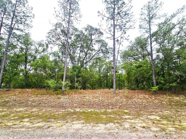 576 E NEMO DRIVE , DUNNELLON, FL 34434