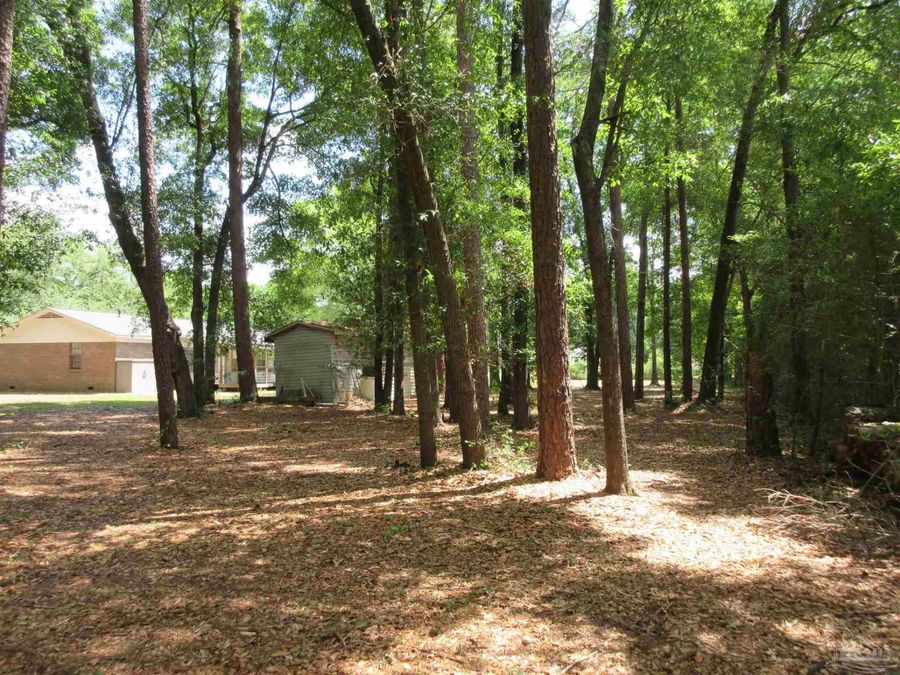 Property Image 63