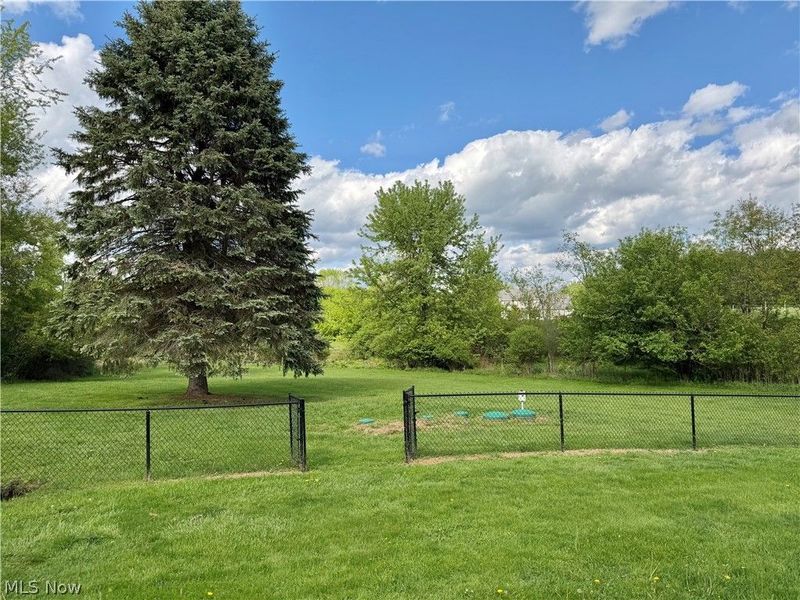 50622 Calcutta Smithferry, East Liverpool, OH 43920 Photo 12