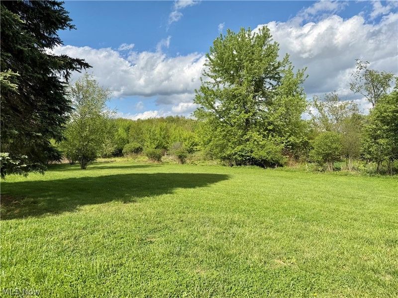 50622 Calcutta Smithferry, East Liverpool, OH 43920 Photo 9