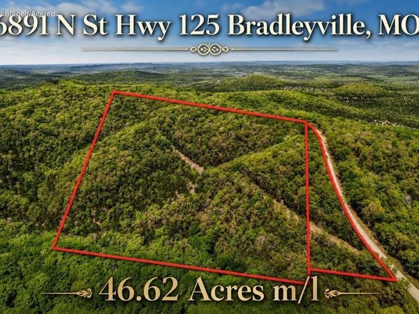 6891 N State Highway 125 , Bradleyville, MO 65614