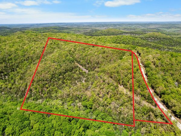 6891 N State Highway 125 , Bradleyville, MO 65614
