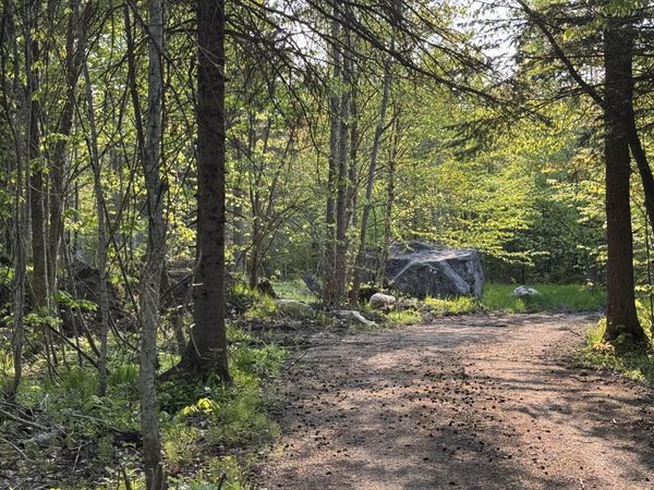 Corner Cnr of Lowder & Williams Hill RD, Grand Marais, MI 49839