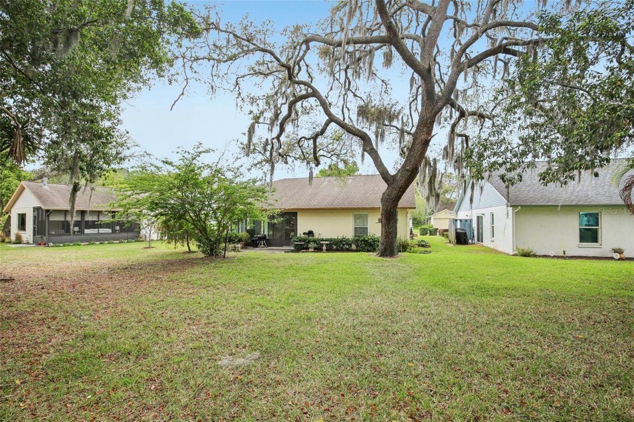 11622 Cocowood Drive , New Port Richey, FL 34654 Photo