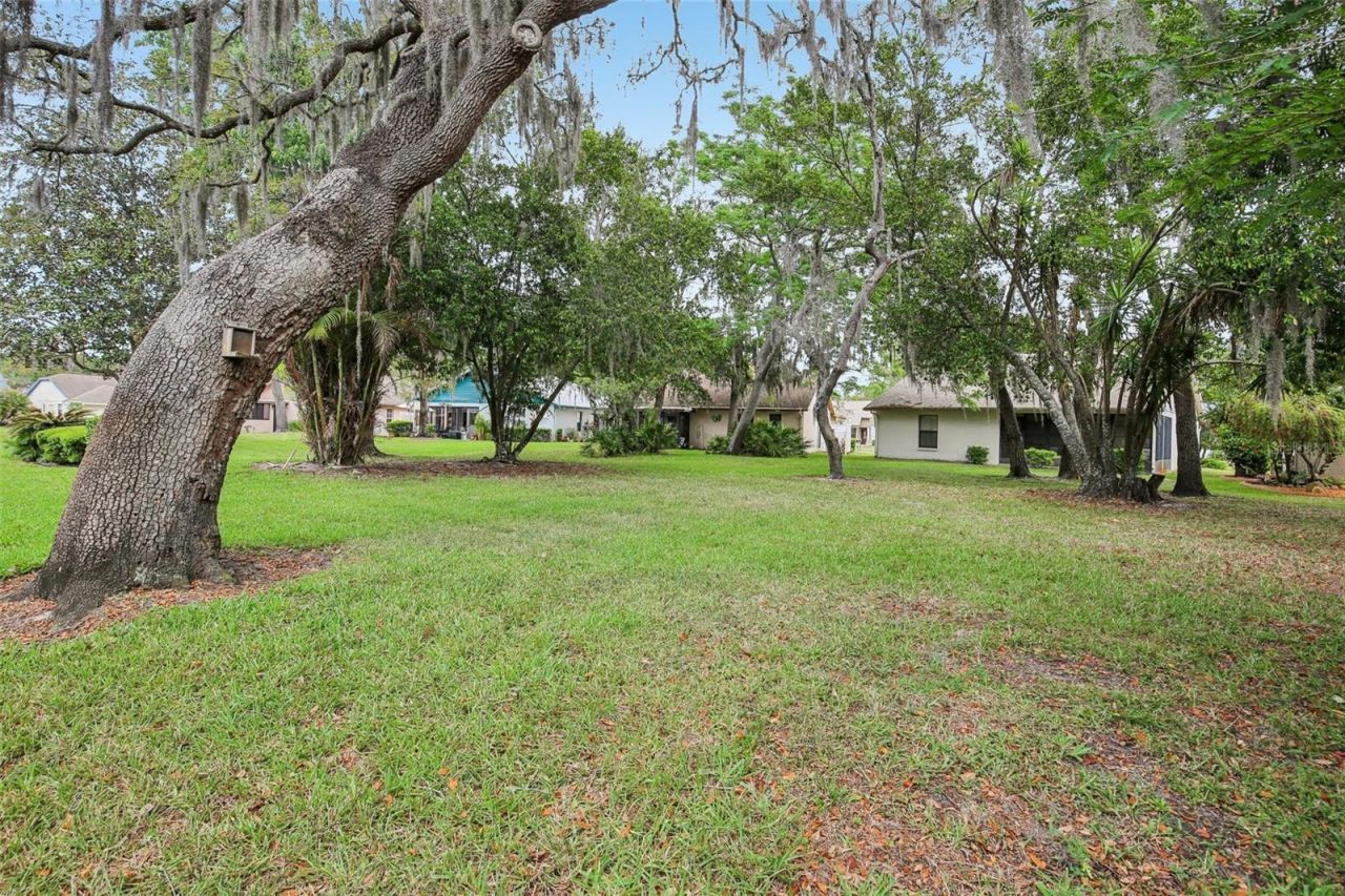 11622 Cocowood Drive , New Port Richey, FL 34654 Photo