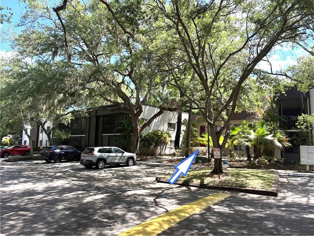 11715 Raintree Village Boulevard , Unit A, Temple Terrace, FL 33617 Photo