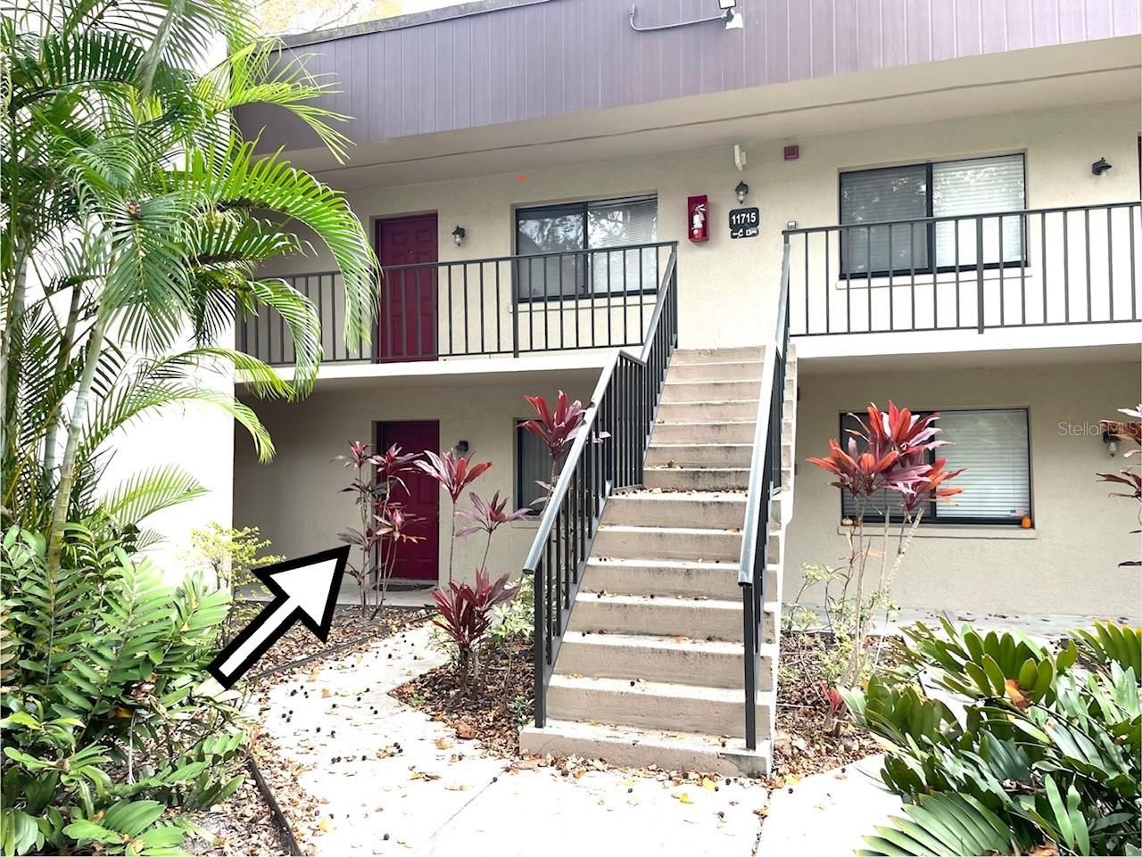 11715 Raintree Village Boulevard , Unit A, Temple Terrace, FL 33617 Photo