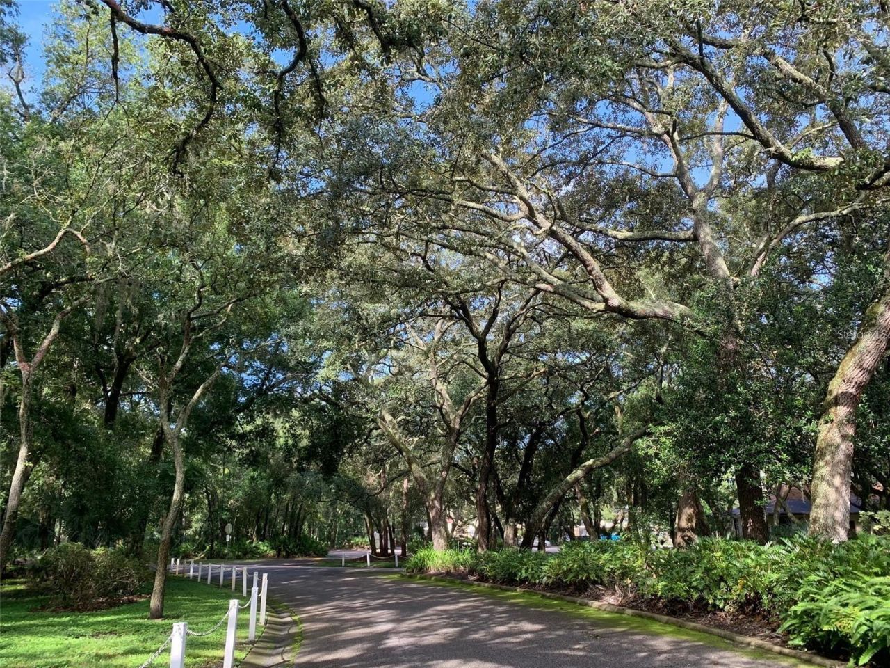 11715 Raintree Village Boulevard , Unit A, Temple Terrace, FL 33617 Photo