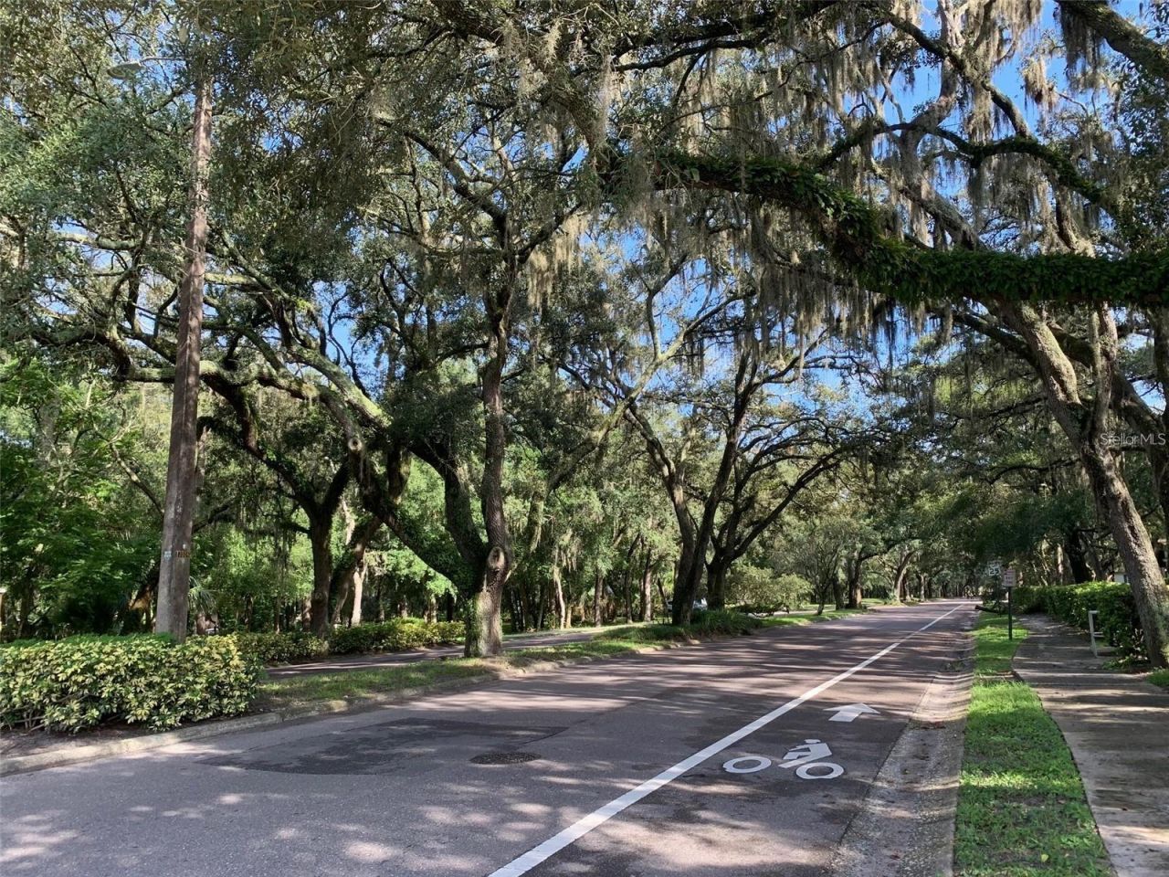 11715 Raintree Village Boulevard , Unit A, Temple Terrace, FL 33617 Photo