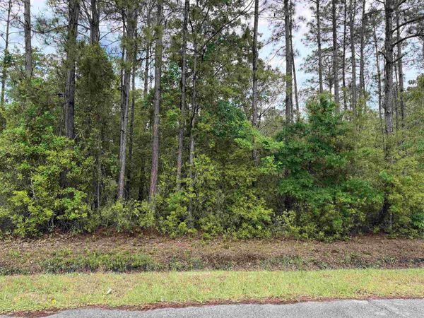 0 Melanie St, Hastings, FL 32145