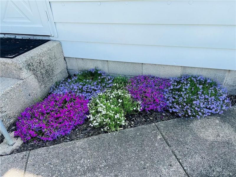 205 E Main Street, Union City, OH 45390 Photo 18