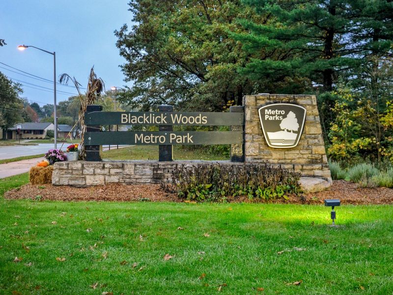 7097 Bartlett Road, Reynoldsburg, OH 43068 Photo 30