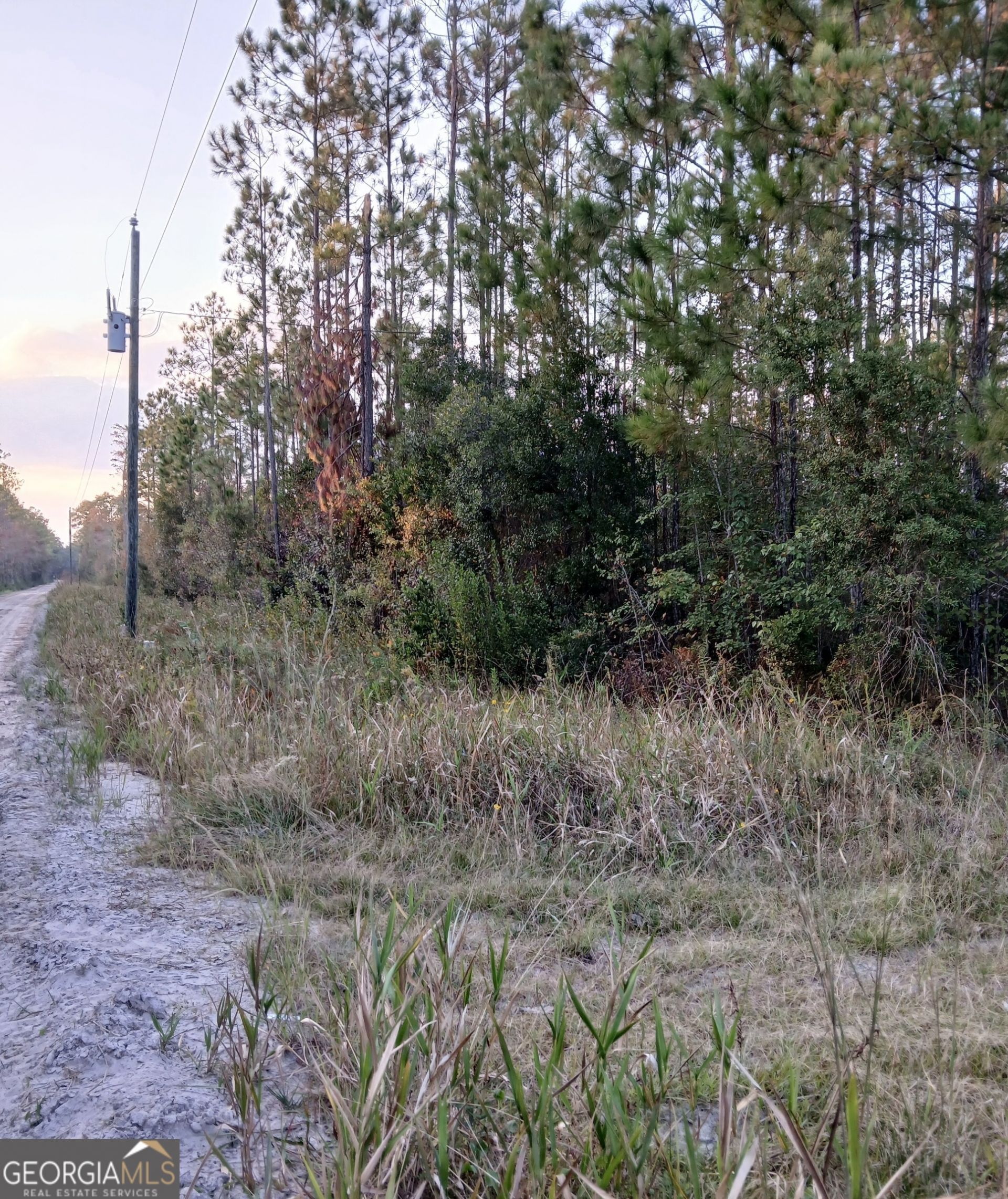 0-(5 Acre Lot) Old Kings Bay Road, Waynesville, GA 31566 Main Photo