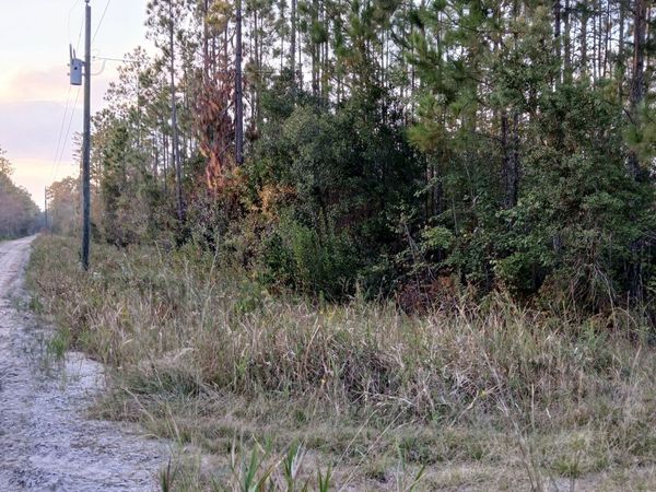 0-(5 ACRE LOT) Old Kings Bay Road, Waynesville, GA 31566