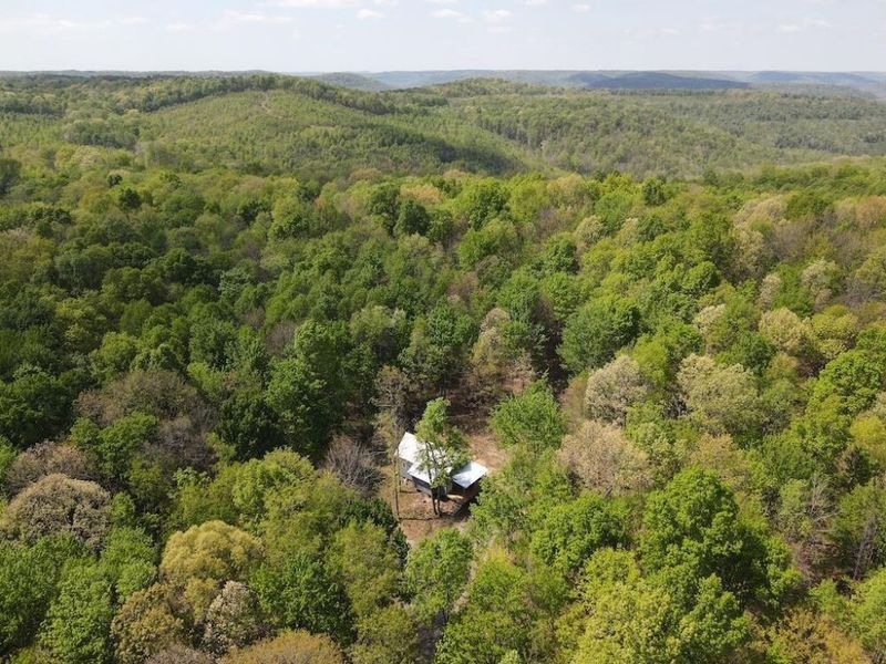 9407 Beavers Ridge Road, Piketon, OH 45661 Photo 10