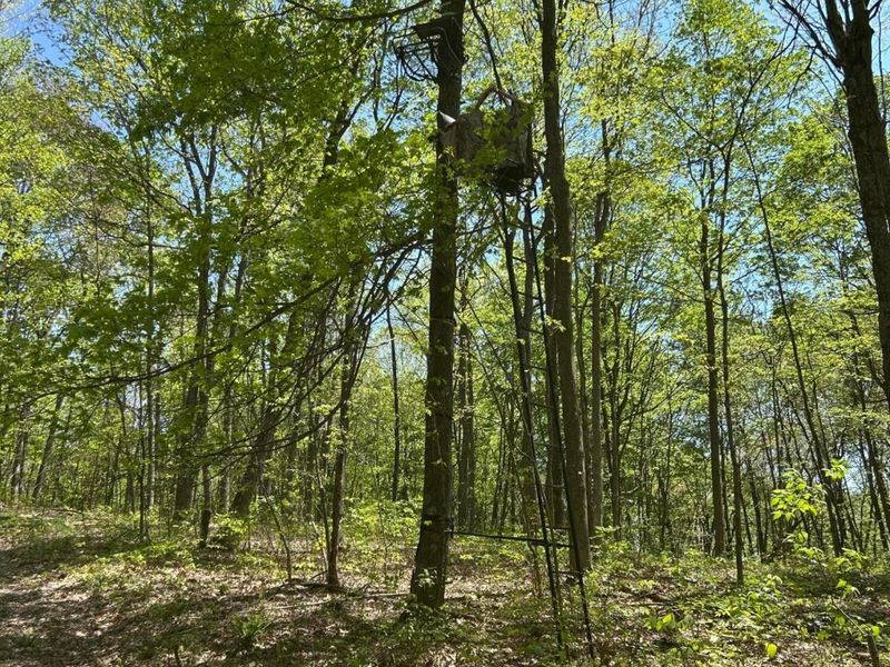 9407 Beavers Ridge Road, Piketon, OH 45661 Photo 10