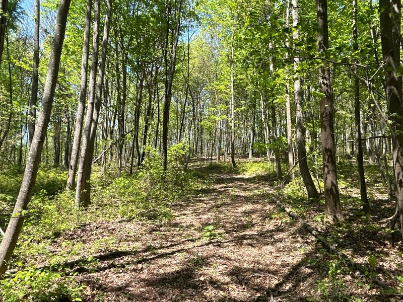 9407 Beavers Ridge Road, Piketon, OH 45661 Photo 11