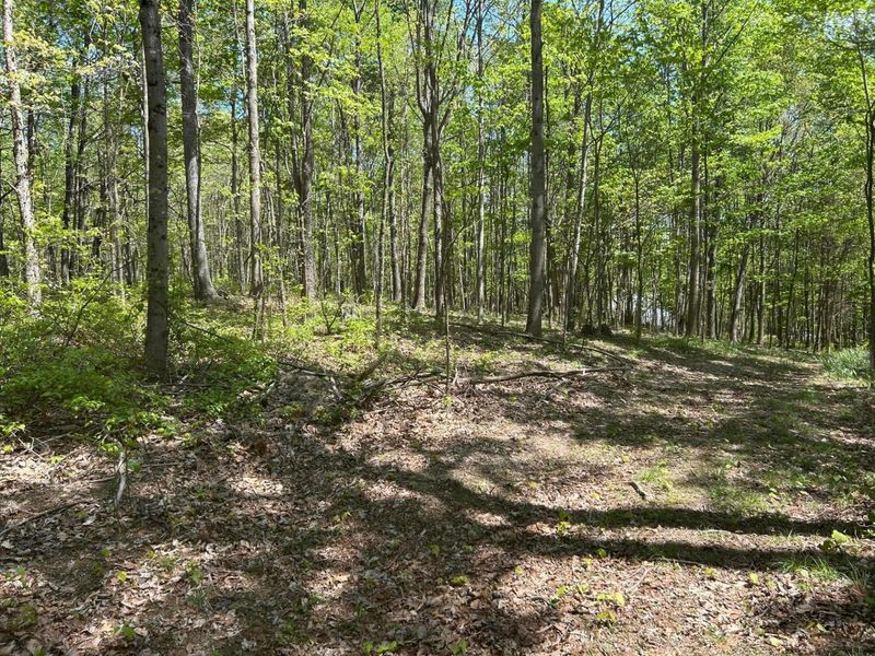 9407 Beavers Ridge Road, Piketon, OH 45661 Photo 13